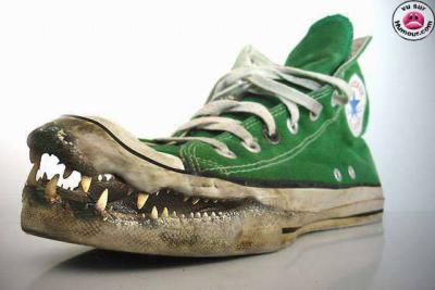 shoe