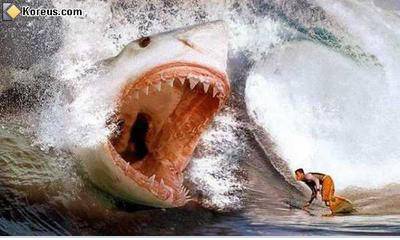 wave