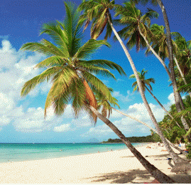 destination de reves